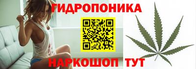 PSILOCYBIN Кунгур