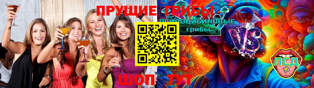 Галлюциногенные грибы Psilocybine cubensis Избербаш
